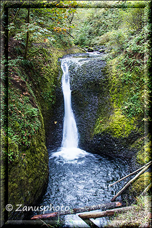 Oneonta Falls mit wenig Wasser im September