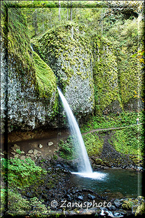 Ponytail Falls erreichen wir zuerst auf dem Trail