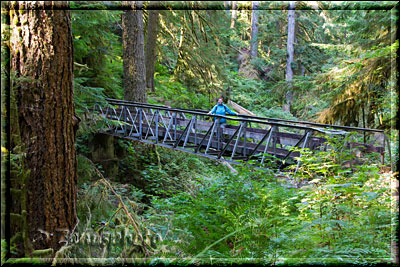 Brücke über den Creek