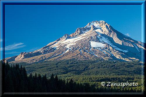 Abendsonne am Mt. Hood