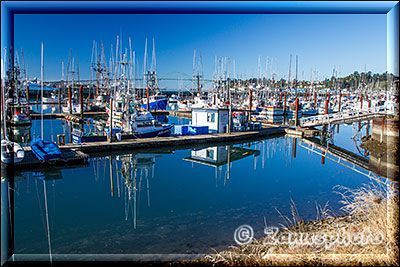 Boot Harbor in Newport