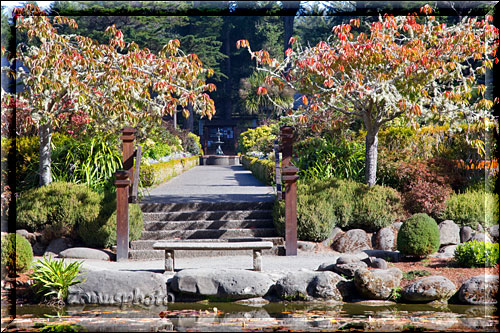 Treppe führt zum Teich