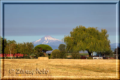 Mount Jefferson aus der Ferne