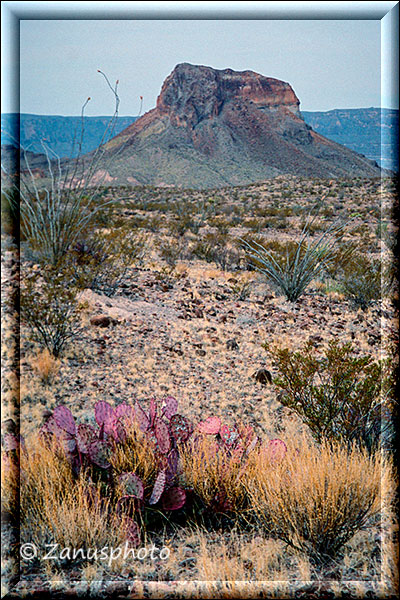 Wüstenlandschaft im Big Bend Park