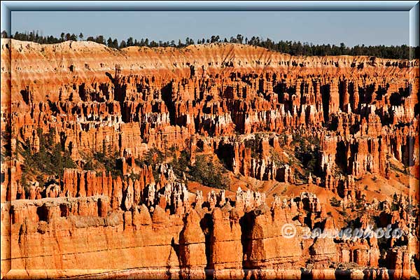 Blick in den Bryce Canyon.