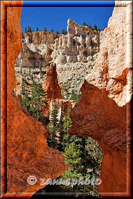 Blick hinauf zum Rim des Canyons.