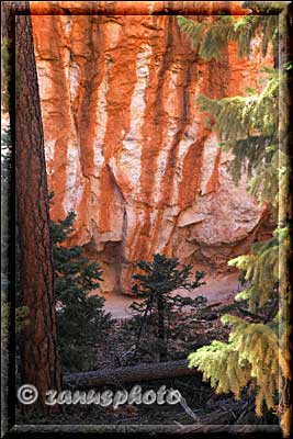 Rot gebänderte Canyonwand.