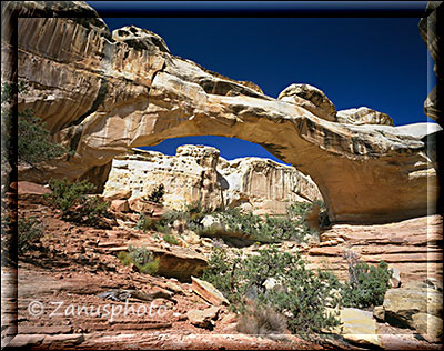 Hickman Bridge über den Gärten von Fruita