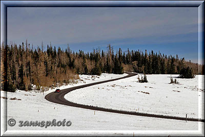 Schneelandschaft nahe Cedar Breaks NM