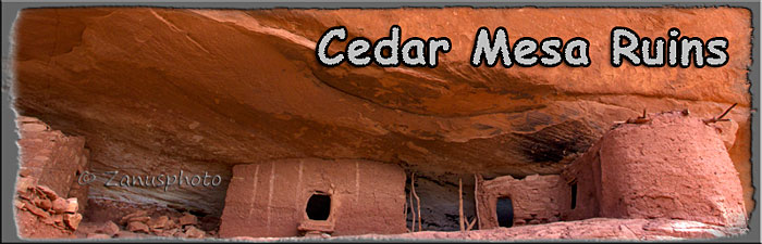 Titelbild der Webseite Cedar Mesa Ruins Titelbild der Webseite Cedar Mesa Ruins