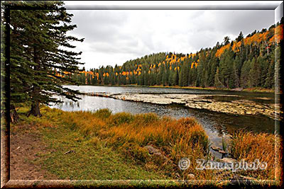 Possey Lake in herbstlichen Farben