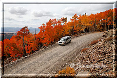 Roter Aspenwald direkt an der Hells Backbone Road