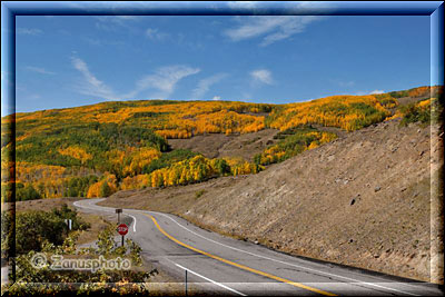 Highway 12 führt durch Wälder im Indian Summer Gewand