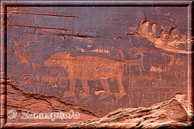 Potash Road, wir haben diverse Wandzeichnungen der Petroglühps entdeckt