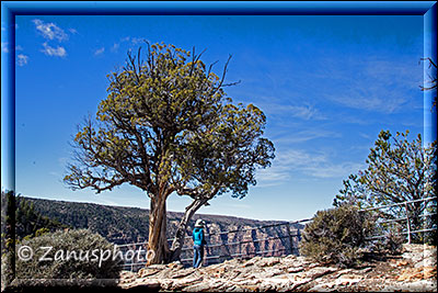 Echo Canyon View Point