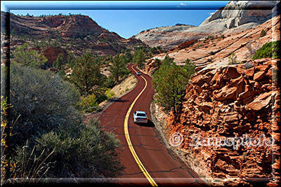 Blick auf roten Highway der sich durch den Zion schlängelt