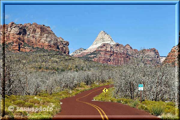 Auf der Kolob Road in die Berge des Zion NP