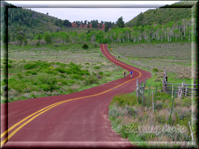 Frühling an der Kolob Terrace Road