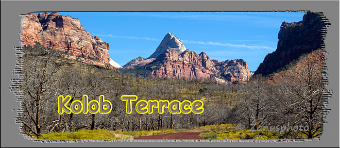 Titelbild der Webseite Kolob Terrace