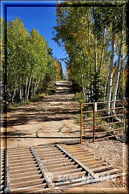 Ein Cattle Guard verhindert das Huftiere diese Bariere überwinden können