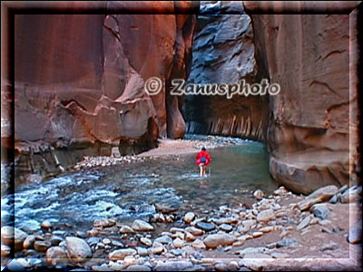 Wanderer mitten im Virgin River