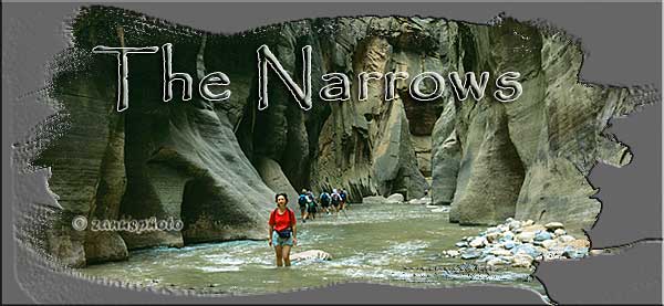 Titelbild der Webseite The Narrows Titelbild der Webseite The Narrows