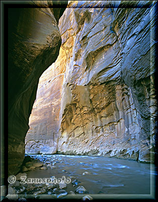 Steile Felswände im engen Narrows Canyon