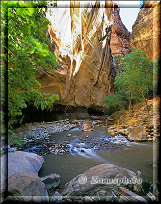 Ansicht des Virgin River am begin der Narrows