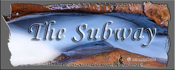 Titelbild der Webseite The Subway