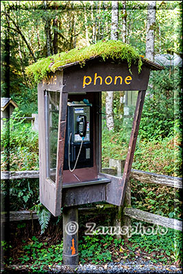 Telefonzelle nahe dem Visitor Center im Hoh Rain Forest