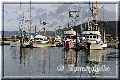 Fischfangboote im Hafen