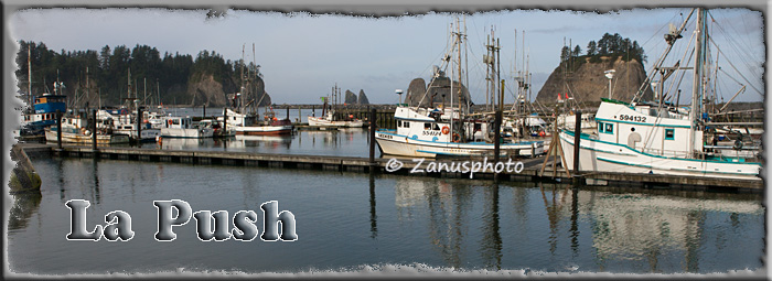 Titelbild der Webseite La Push Titelbild der Webseite La Push