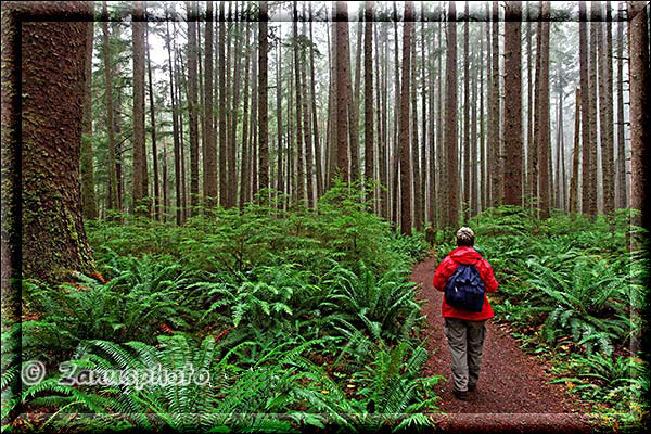 Unterwegs im Regenwald mit rotem Anorak