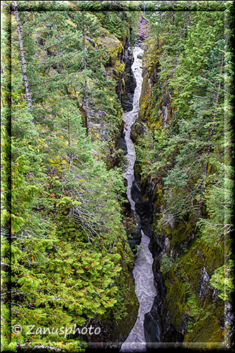 Blick in die Tiefe des den Box Canyon