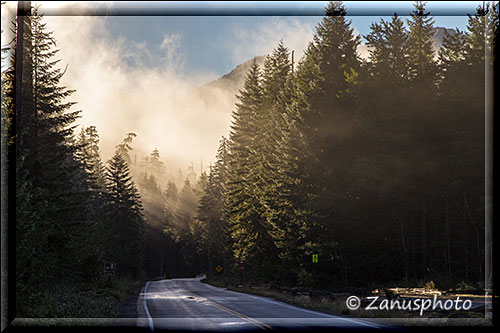 Nebel der gerade von der Sonne aufgelöst wird