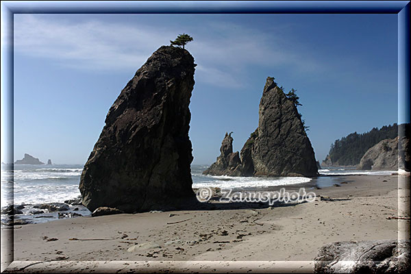 Ein Sea Stack im Uferbereich der Rialto Beach