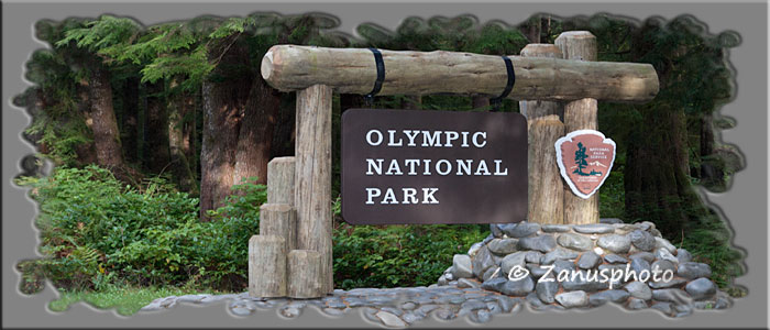 Titelbild der Webseite Washington State Titelbild der Webseite Washington State