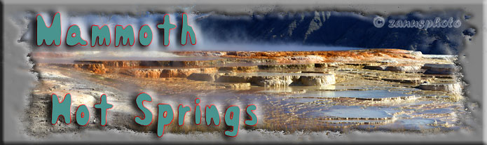 Titelbild der Webseite Mammoth Hot Springs Titelbild der Webseite Mammoth Hot Springs