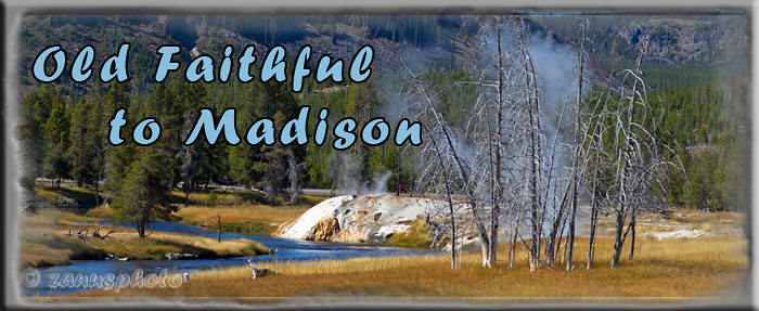 Titelbild der Webseite Old Faithful to Madison