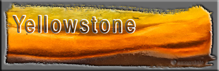 Titelbild der Webseite Yellowstone