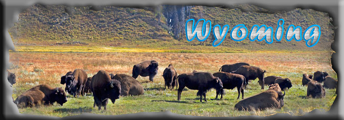 Titelbild der Webseite Wyoming