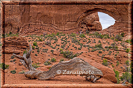 Arches Park, ein altes Holzteil liegt vor dem Zugang zum North Window