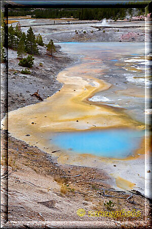 Yellowstone, im Gelände finden wir mehrere hellblaue Wasserstellen wo wohl Geyseraktivitäten liegen