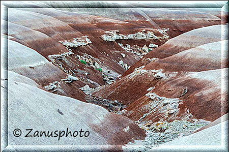 Cathedral Valley, wo wir auch Bilder machen befindet sich immer der weisse Sand darauf