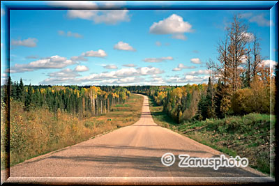 Endlos zieht sich der Highway durch die Landschaft