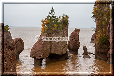 Geflutete Flowerpot Rocks bei High Tide