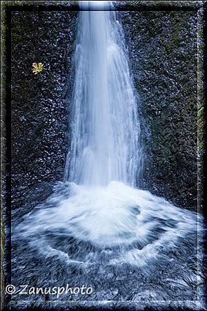 Columbia Gorge, ziemlich nahe sind wir dem Oneonta Fall gekommen