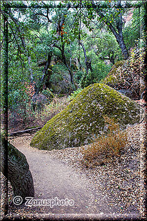 Pinnacles National Park, kleinere Felspyramieden am Rand des Trails