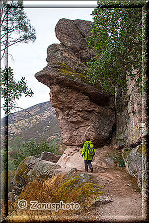 Pinnacles National Park, auf dem Rückweg geht es zum Parkplatz