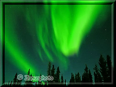 Wunderschönes Nordlicht am Himmel